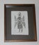 +++ A REID '98 " PICTISH ANGEL " FRAMED ART +++ Carousel 13