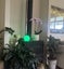 15cm LED Multi-coloured remote controlled Glow Domes #978 Carousel 1