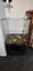 430l fish tank Carousel 2