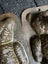 Antique Teddy Bear German Anton Reiche Chocolate Mould - Rare! Carousel 11