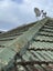 Roof repairs and painting Carousel 10