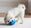 DOG TOY - JW MEGA EGG BALL SMALL 12.5CM Carousel 2