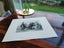 Antique Victorian Engraving Carousel 7