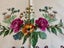 A fabulous German made Tablecloth & 4 matching serviettes (new, but Vintage) Carousel 1