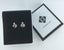 18K White Gold Heart Stud Crystal Earrings "Grace" Carousel 6