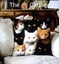 THE Gorgeous Cat Cushion Cover Add Cuteness & Style To Any Room Carousel 1
