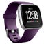 Fitbit Versa 2 Strap Band L Carousel 1