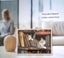 THE CATTAGE-1000pc Cute Cat Vintage Bookshelf Jigsaw For Puzzle & Cat Enthusiast Carousel 4