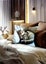 THE CATTAGE - Gorgeous Tabby Cat Cushion Cover Bring Cuteness To Any Room Carousel 3