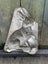 #1. - Early Antique Easter Bunny Rabbit Chocolate Candy Mould Carousel 6