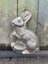 #3. - Vintage Antique Easter Rabbit Chocolate Candy Reiche Mould Carousel 3