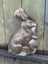 #3. - Vintage Antique Easter Rabbit Chocolate Candy Reiche Mould Carousel 4