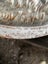 #3. - Vintage Antique Easter Rabbit Chocolate Candy Reiche Mould Carousel 8