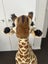 Tall standing plushy Giraffe (Melissa + Doug) Carousel 3