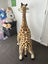 Tall standing plushy Giraffe (Melissa + Doug) Carousel 5