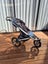 Thule Urban Glide 2 Jogging Stroller Carousel 2
