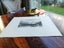 Antique Victorian Engraving Carousel 7