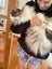 MISSING/LOST - Molly (Mt Eden area) Carousel 4