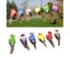 12Pcs Colorful Handmade Artificial Simulated Bird Home Garden Wedding Decora Carousel 3