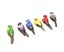 12Pcs Colorful Handmade Artificial Simulated Bird Home Garden Wedding Decora Carousel 4