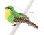 12Pcs Colorful Handmade Artificial Simulated Bird Home Garden Wedding Decora Carousel 5