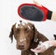 Pet Grooming Glove Carousel 1