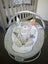 Ingenuity Baby Bouncer Carousel 2
