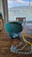 Infant swing Carousel 3