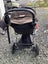 Mountain Buggy Pram Carousel 5
