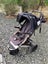 Mountain Buggy Pram Carousel 6