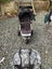 Mountain Buggy Pram Carousel 8