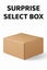 The Surprise Select Box Carousel 1
