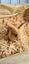 Flemish Giant kits available Carousel 1