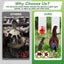 Chicken Feeder Water Dispenser Automatic Poultry Food Drinker 4L NZ Clearance Carousel 6