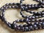 Vintage Black Pearls $1 Reserve Carousel 3
