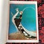 VOGUE POSTER BOOK c1975 – INTRODUCED BY DIANA VREELAND - PERFECT FOR FRAMING Carousel 4