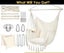 Hammock Chair Hanging Rope Swing with 2 Cushions Carousel 10