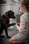 Female 6yr old GSH Pointer x Labrador Carousel 14