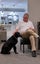 Female 6yr old GSH Pointer x Labrador Carousel 15