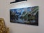 Fiordland Study - Caley Hall - Original Painting Carousel 17