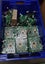 Bulk electrical boards Carousel 9
