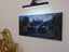 Fiordland Passing Rain - Caley Hall - Original Painting Carousel 3