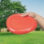KIKKERLAND Kobe Bacon Scented Frisbee Carousel 1