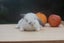 very cute Pure Bred mini Lops Carousel 9