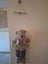 2 Cute Hanging Teady bears....... Male & Female Carousel 7