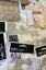 MEGA CLEANOUT! G45, CHIPBOARD, STAMPS, FILE-HOLDER + MORE Carousel 8