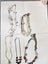 4X NECKLACES Carousel 1