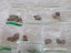 Massive World Coin & Note Collection –1000+ Coins | Rare NZ Pieces | Great Condi Carousel 13