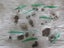 Massive World Coin & Note Collection –1000+ Coins | Rare NZ Pieces | Great Condi Carousel 16