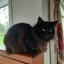 Beautiful boy "Meeka" Carousel 2